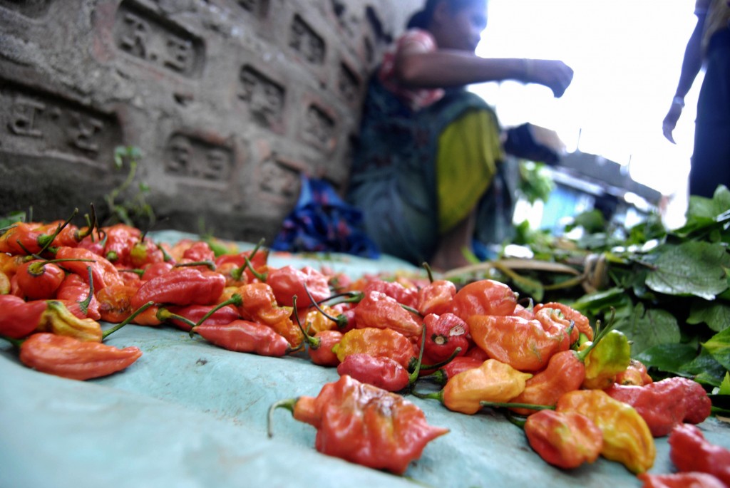 bhut jolokias