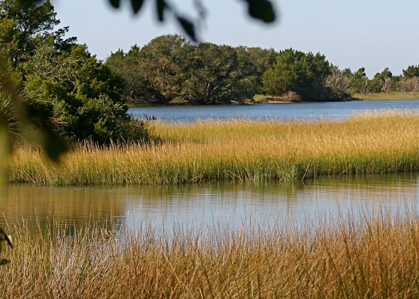 Beaufort, North Carolina, grass