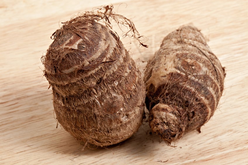 Pay attention to how you cook your taro root before eating. Pay attention to how you cook your taro root before eating.
