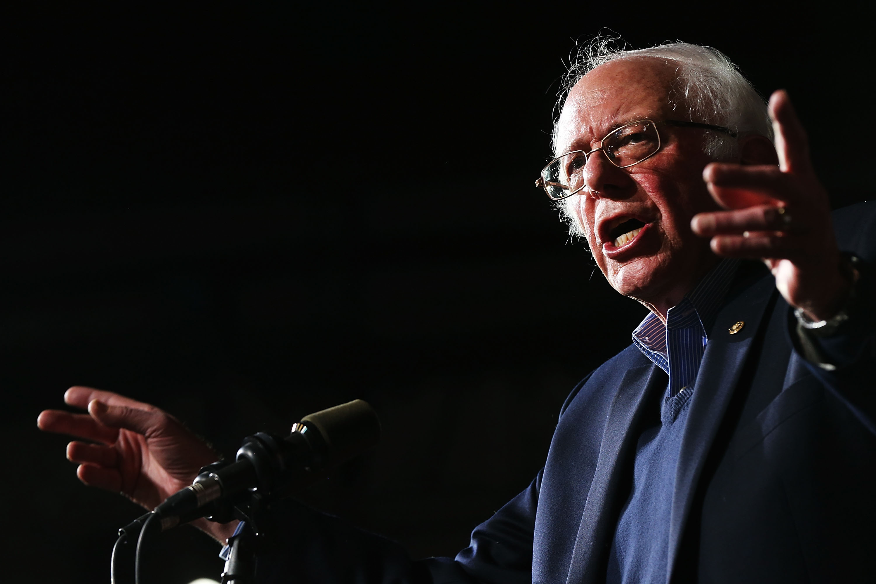Bernie Sanders at campaign rally Bernie Sanders at campaign rally