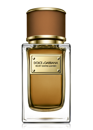 Dolce & Gabbana fragrance cologne