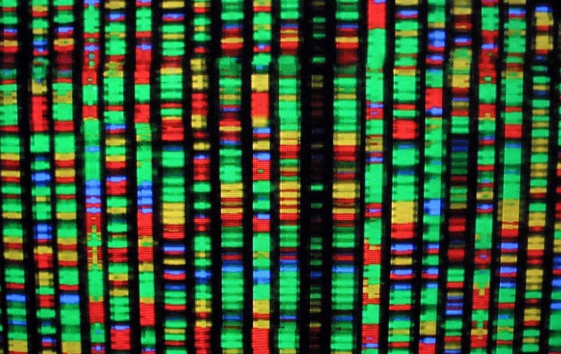 Genetic sequence Genetic sequence