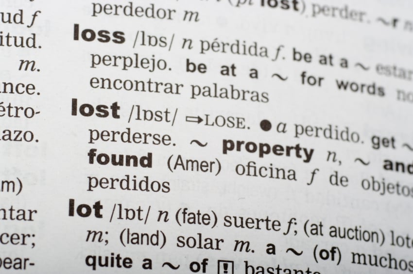 Language translation in a dictionary