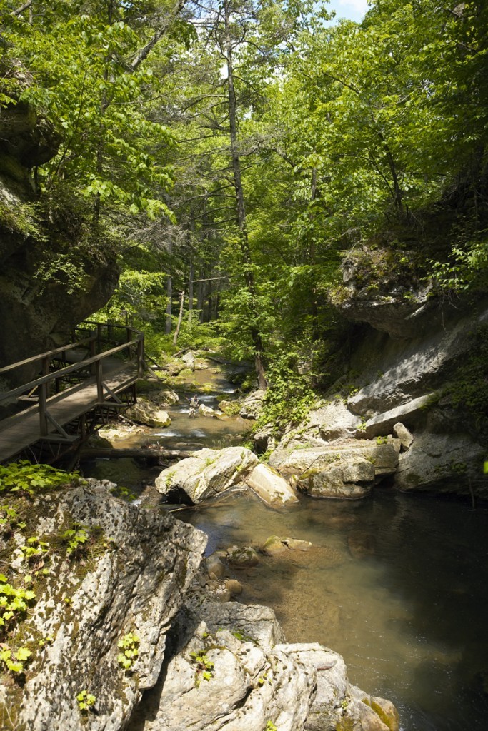 The Homestead- Cascade Gorge Hike 6