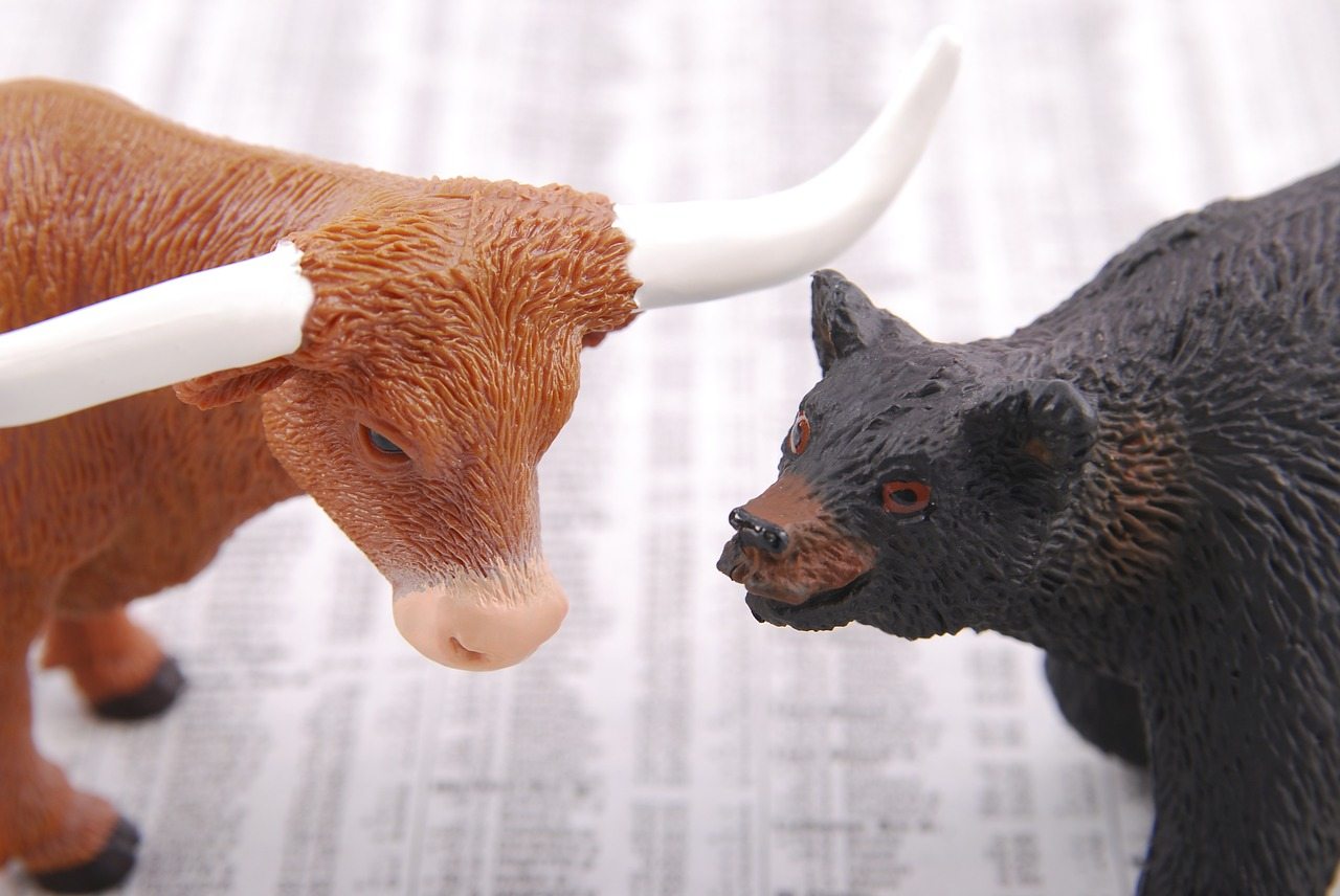 Investing Bull and bear markets