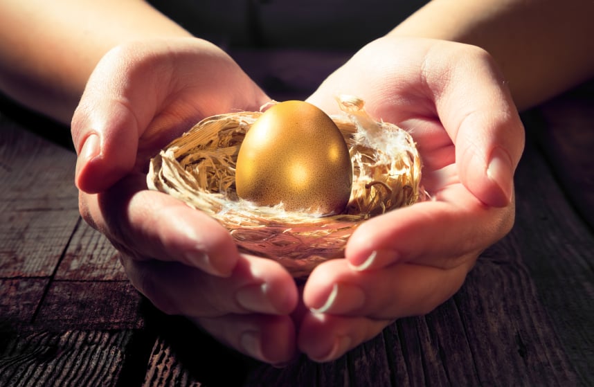 golden egg in a nest