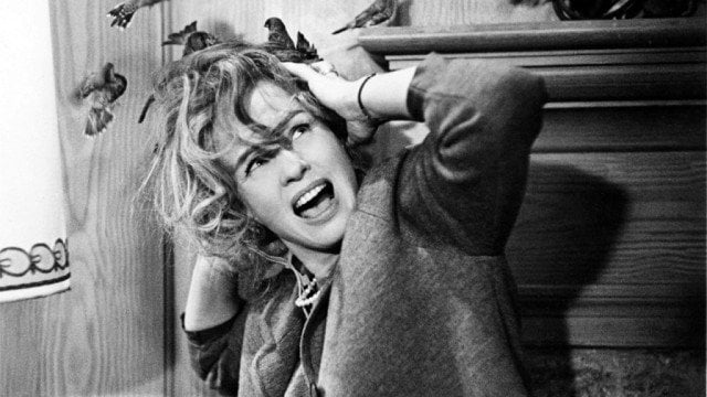 Tippi Hedren in 'The Birds'