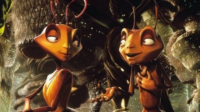 Two ants talking to each other. Two ants talking to each other.