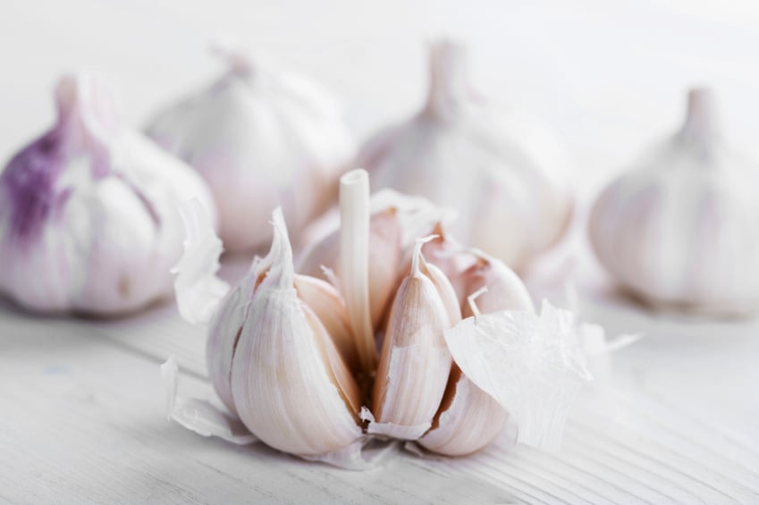 Garlic.jpg