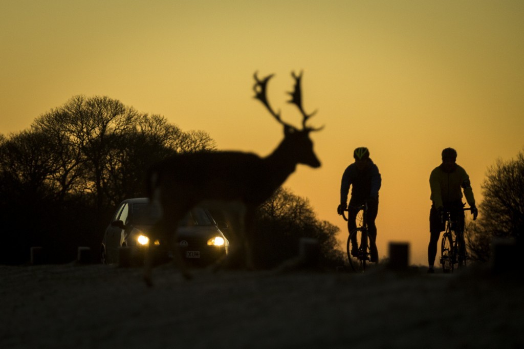 Rob Stothard/Getty Images
