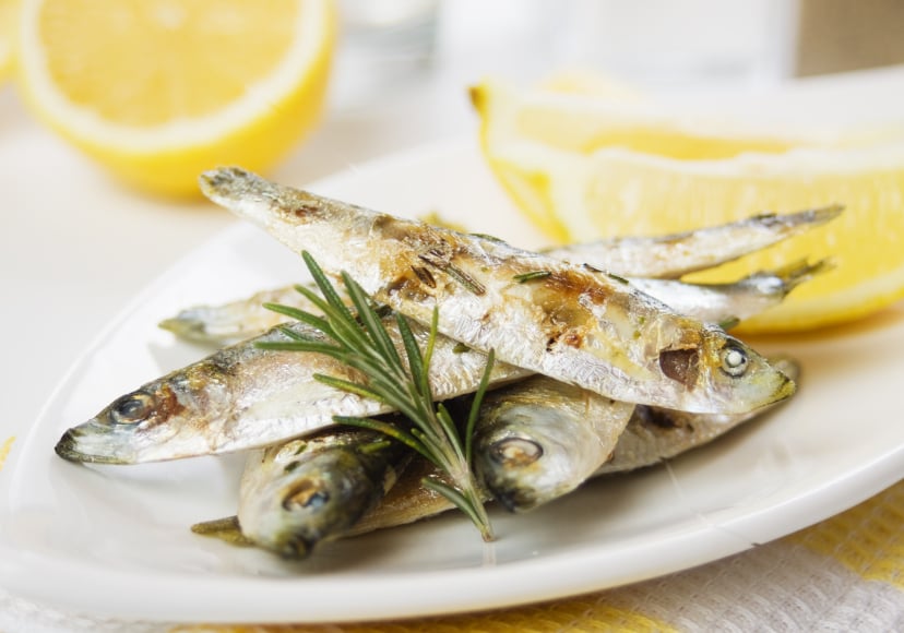 fish fish