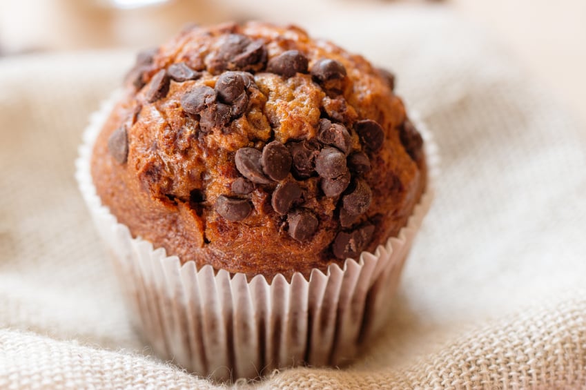 chocolate chip muffin