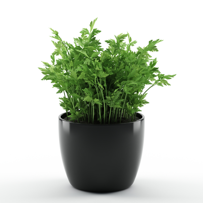 Source: iStock