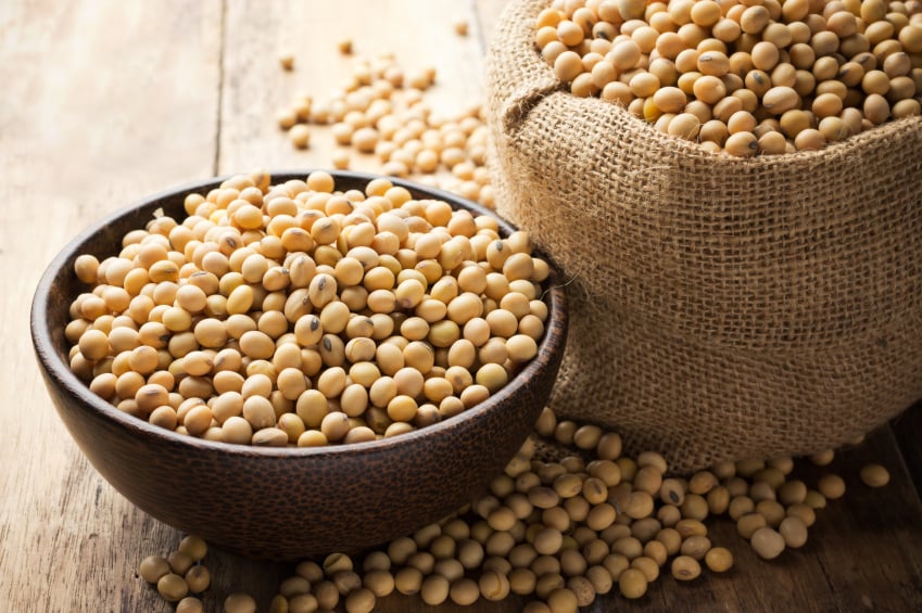 soybeans soybeans