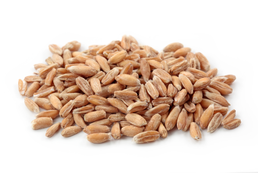 spelt