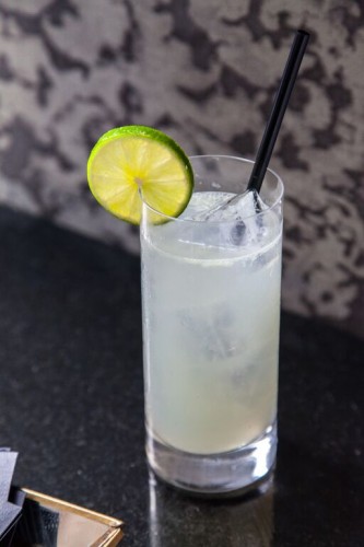 gin rickey