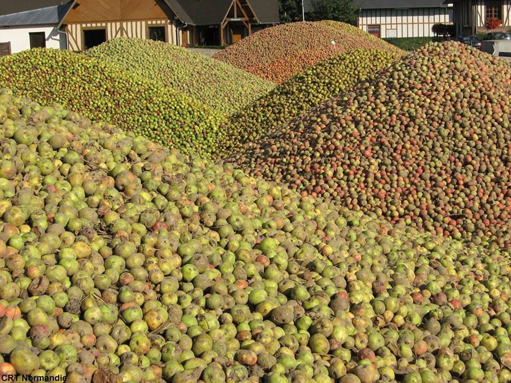 Normandy, France, Apples