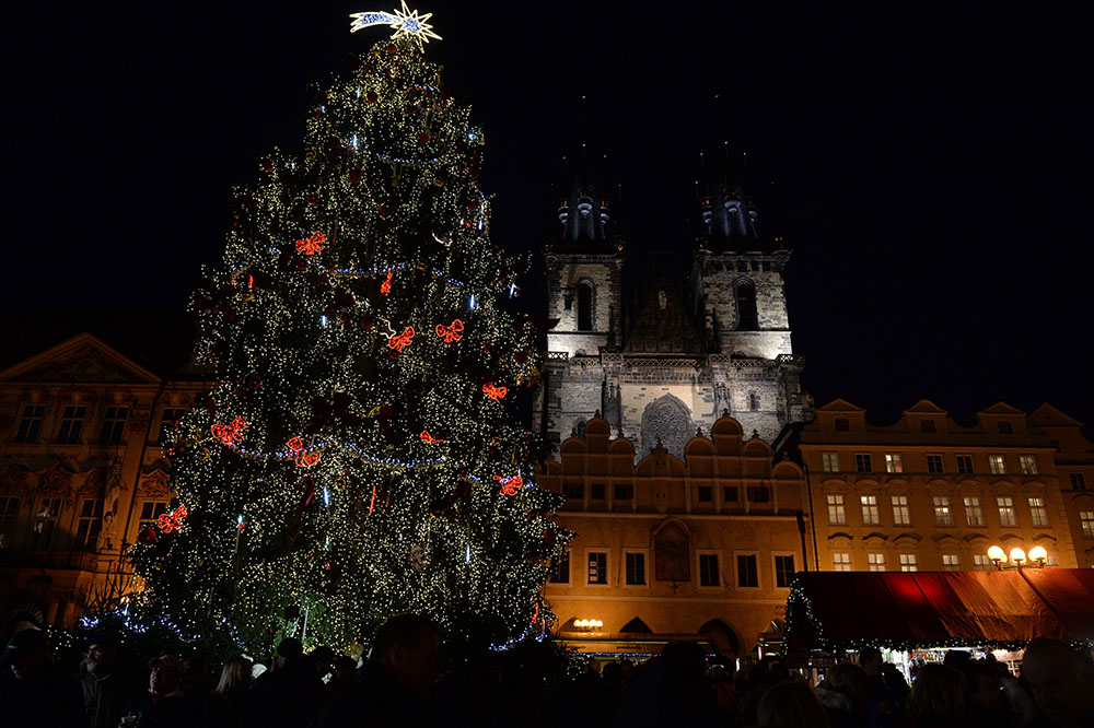 A Christmas tree in front of a Prague cathedral