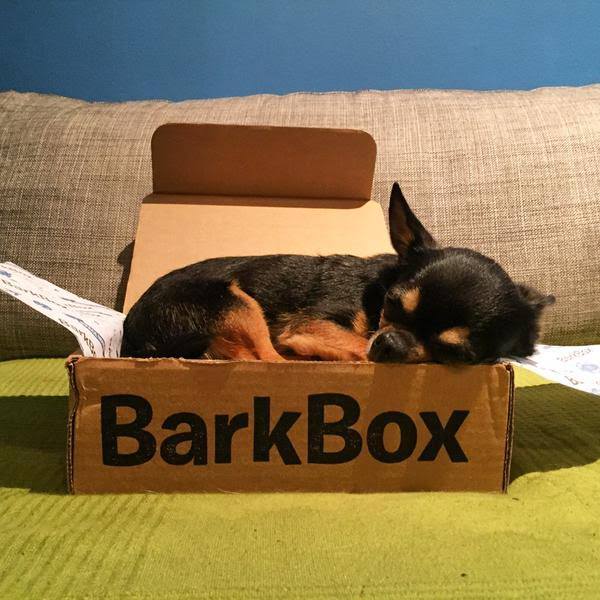 Source: BarkBox official Facebook page