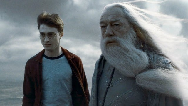Harry and Dumbledore