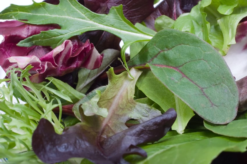 mixed salad greens
