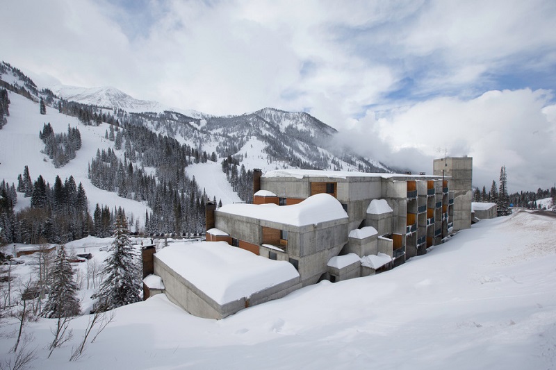 Snowbird