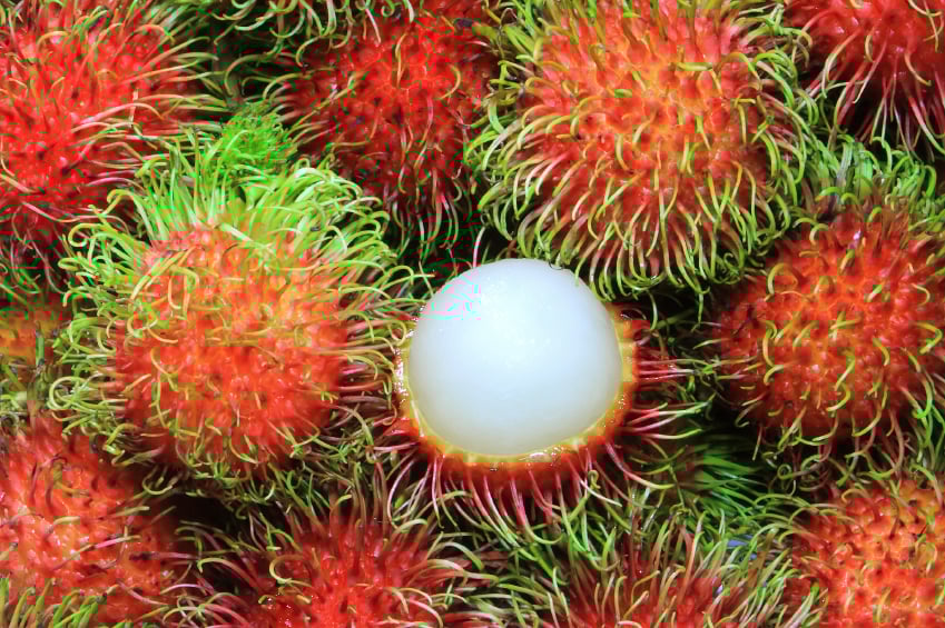 image of lots of Rambutans