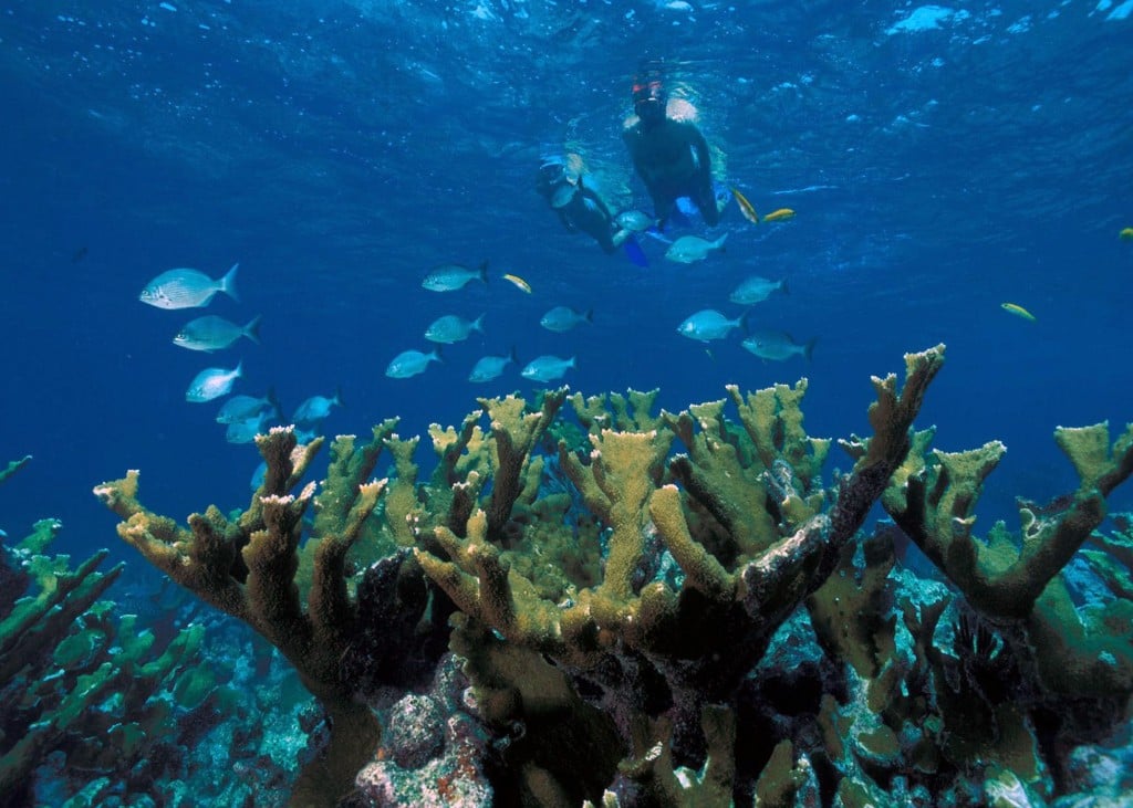 biscayne national park