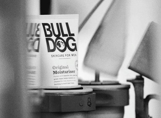 bulldog