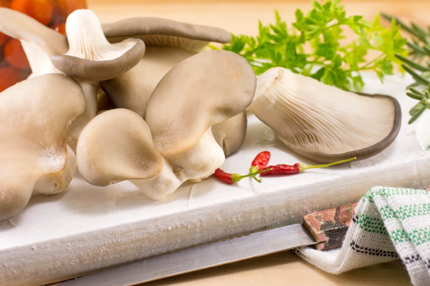 gathering ingredients, including herbs and oyster mushrooms
