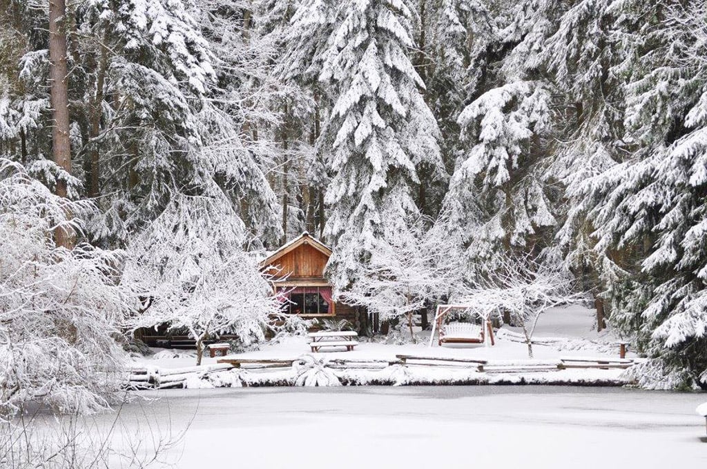 Snow-covered Guest House Log Cottages on Whidbey Island, Washington