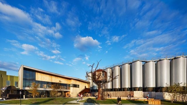 Dogfish Head Beer