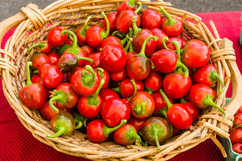 baset filled with fresh hot cherry peppers