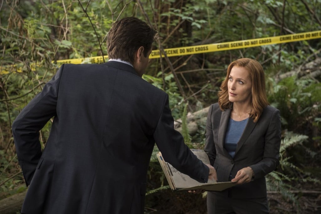 The X-Files David Duchovny and Gillian Anderson on The X-Files