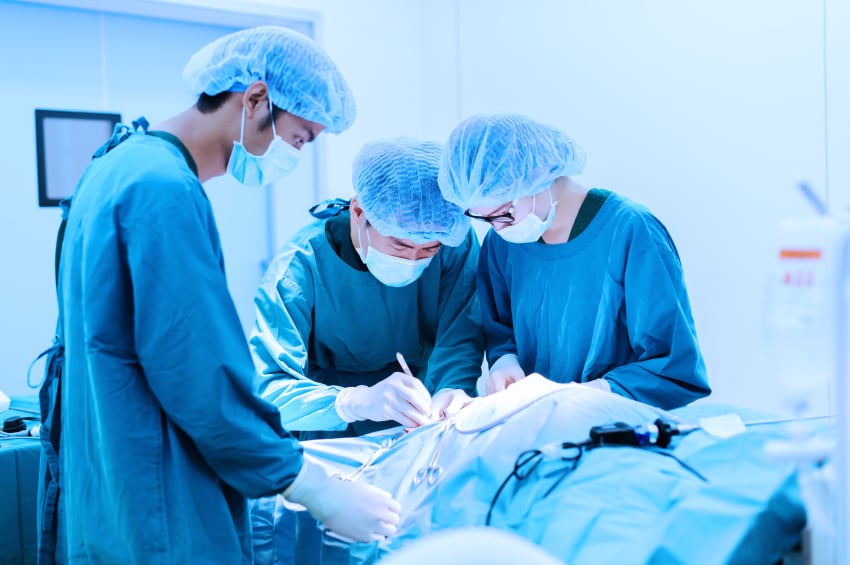 Veterinarians working on an animial