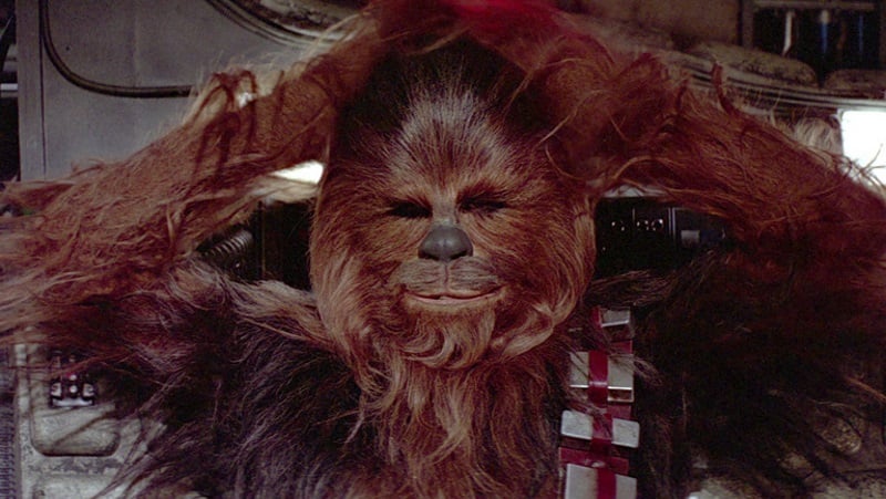 Chewbacca in Star Wars