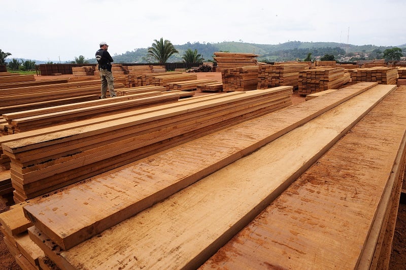 Planks at a sawmill