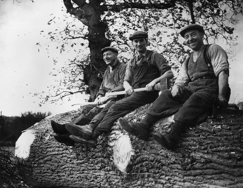 Lumberjacks, lumbermen, and loggers