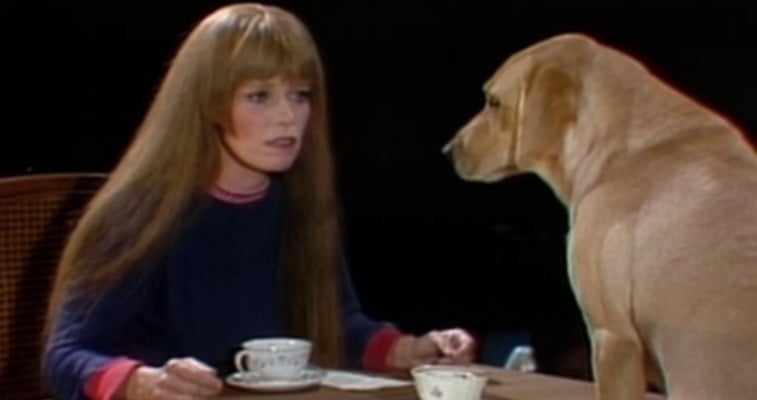 Louise Lasser on SNL Louise Lasser on SNL