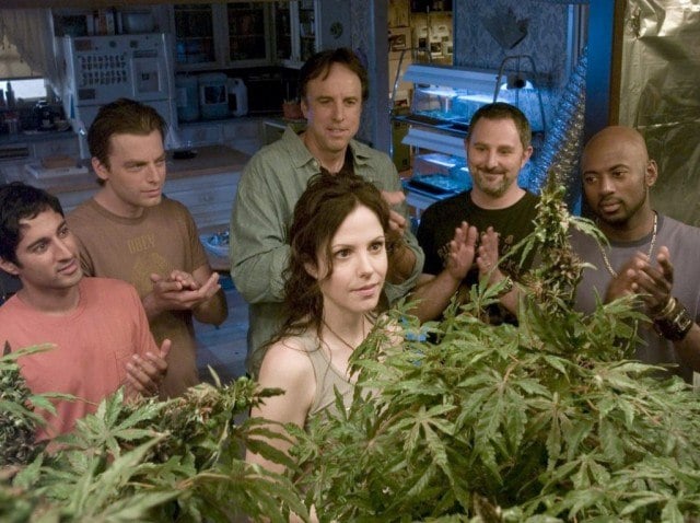 The cast of Weeds stands around a marijuana plant