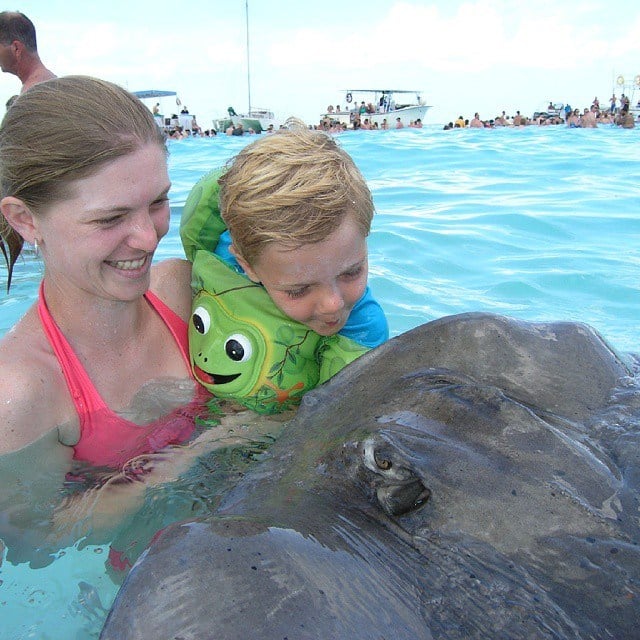 stingray