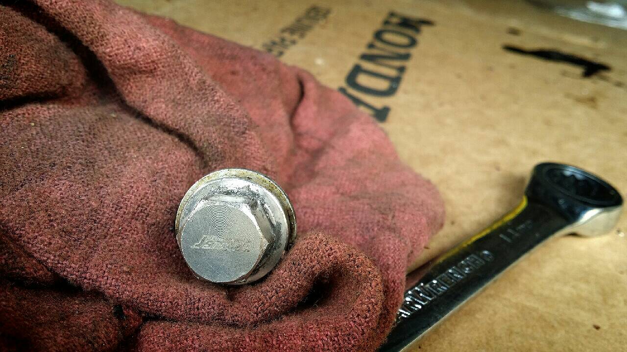 Oil drain bolt