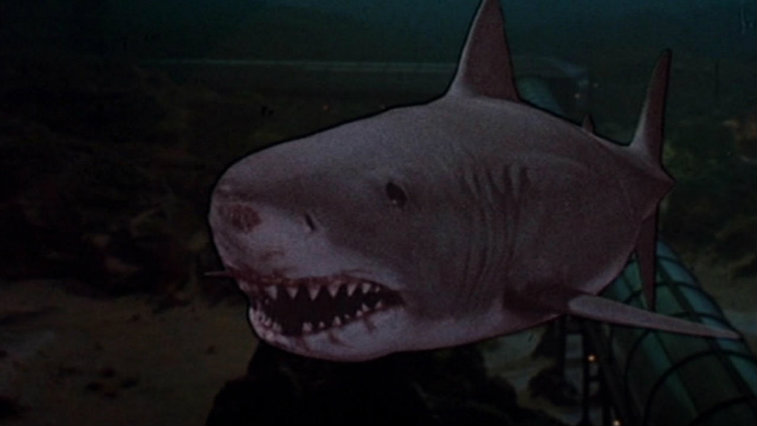 Jaws 3D