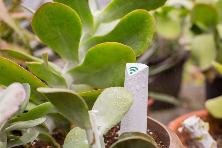 PlantLink