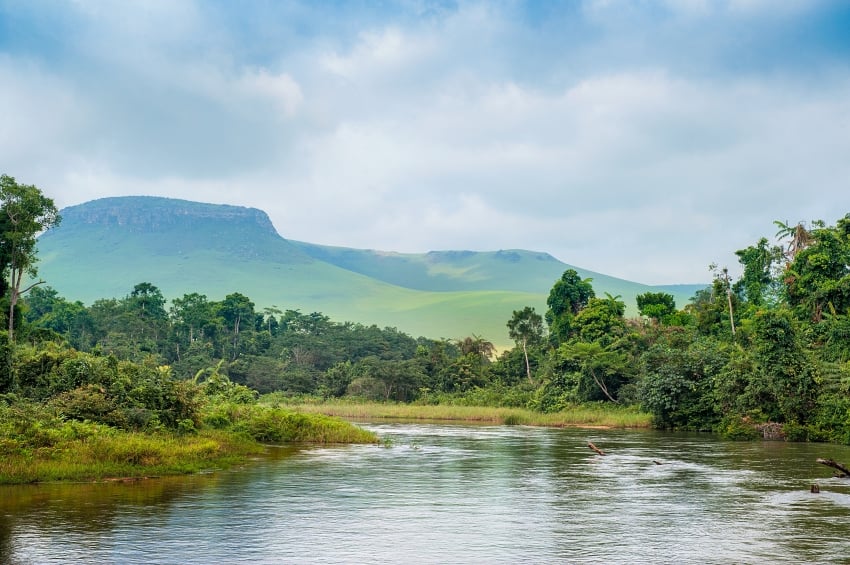 a river in the jungle, Democratic Republic of the Congo