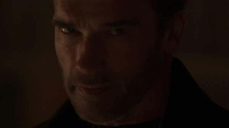 Arnold Schwarzenegger in End of Days, lead actor