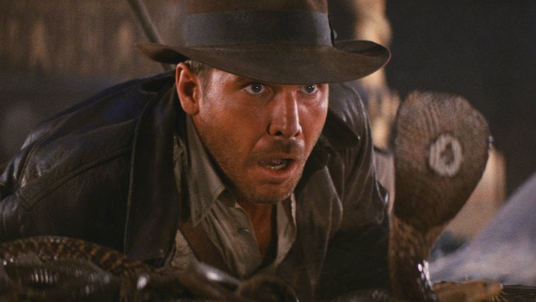 Harrison Ford in Raiders of the Lost Ark