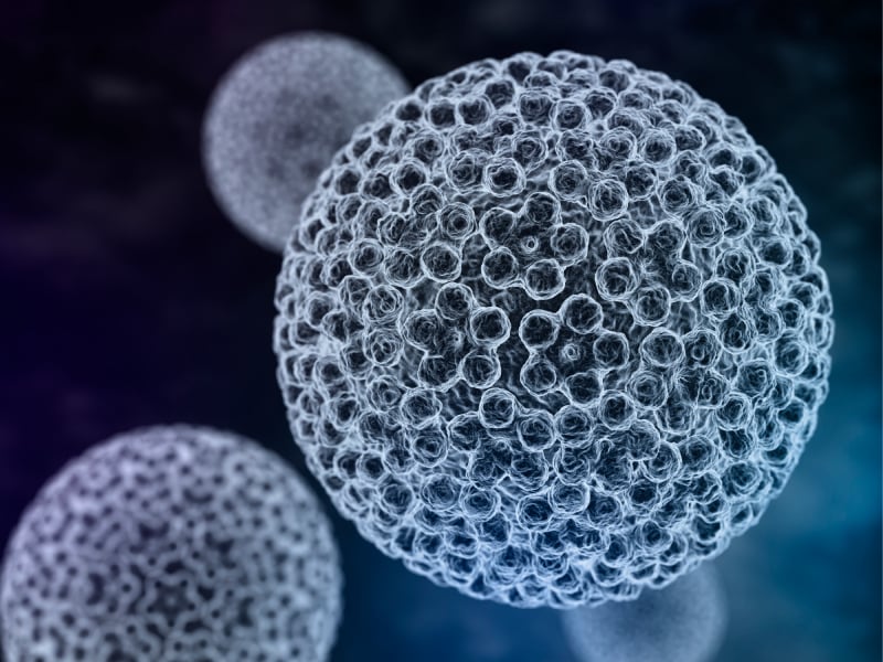 microscope view of HPV microscope view of HPV