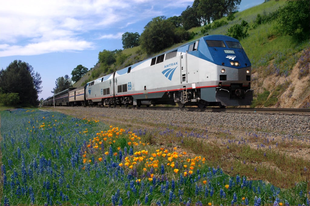 An Amtrak train travels through a field of wildflowers. | Source: Amtrak