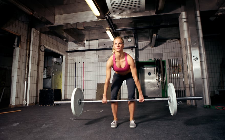 female lifting weight bar in gym female lifting weight bar in gym